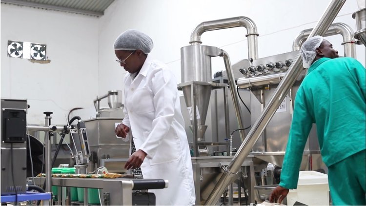 Monica Musonda, at work in Java Foods Factory.