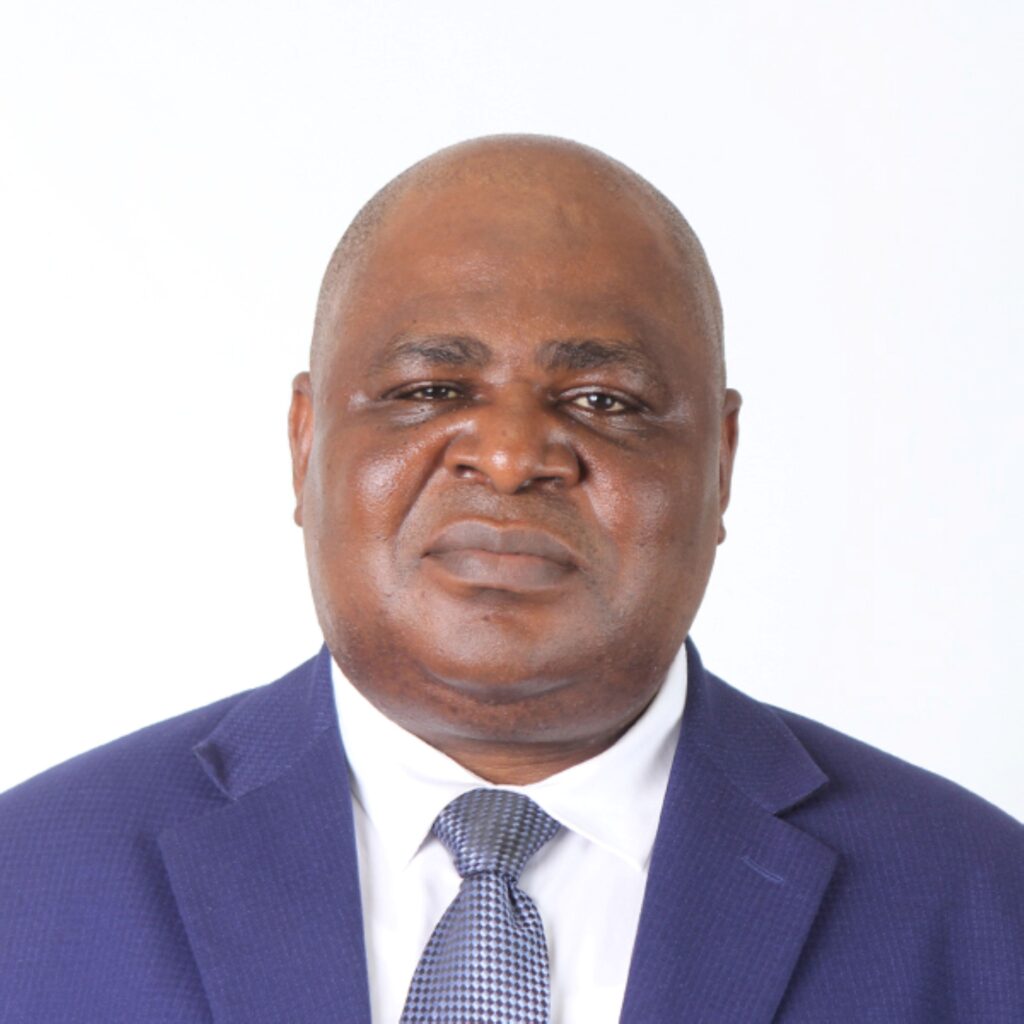 Dr Johnstone Chikwanda, Zambian Energy Expert.